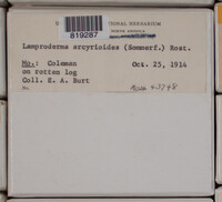 Image Associated With the Occurence